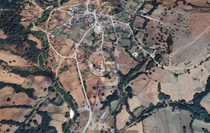 ÇANAKKALE YENİCE SARIÇAYIR 381 M2 BAHÇE