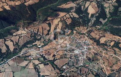 ÇANAKKALE YENİCE SARIÇAYIR 381 M2 BAHÇE