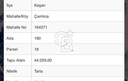 CB MARS'TAN EDİRNE KEŞAN ÇAMLICA'DA DEĞERLİ TARIM ARAZİSİ