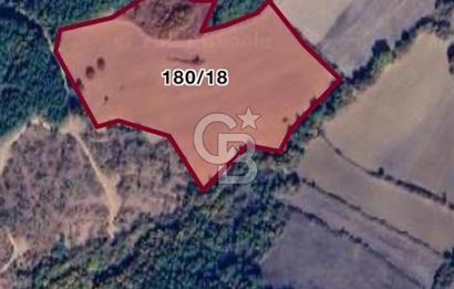 CB MARS'TAN EDİRNE KEŞAN ÇAMLICA'DA DEĞERLİ TARIM ARAZİSİ