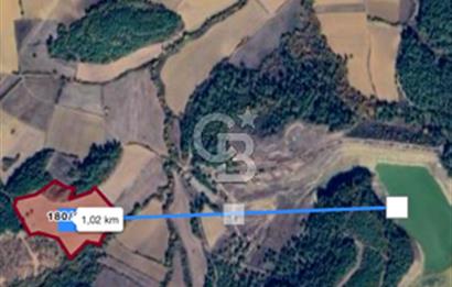 CB MARS'TAN EDİRNE KEŞAN ÇAMLICA'DA DEĞERLİ TARIM ARAZİSİ