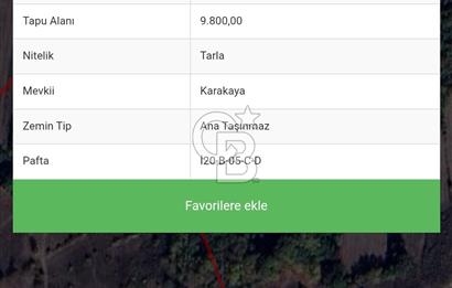 Çardakbelen fırsat tarla