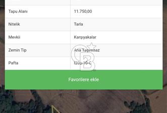 Şapçıda fırsat tarla
