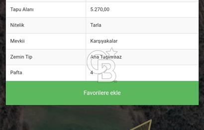 Şapçıda fırsat