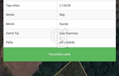 Yörük yenicesinde fırsat