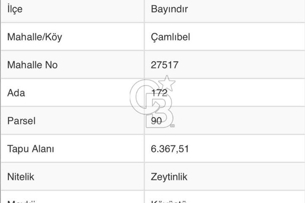 Bayındır / Çamlıbel'de Satılık 6 Dönüm Fırsat Zeytinlik