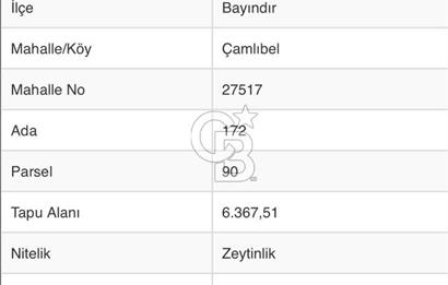 Bayındır / Çamlıbel'de Satılık 6 Dönüm Fırsat Zeytinlik