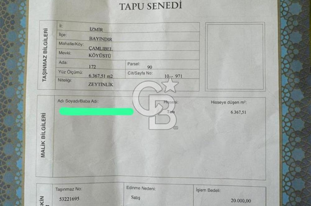 Bayındır / Çamlıbel'de Satılık 6 Dönüm Fırsat Zeytinlik