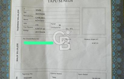 Bayındır / Çamlıbel'de Satılık 6 Dönüm Fırsat Zeytinlik