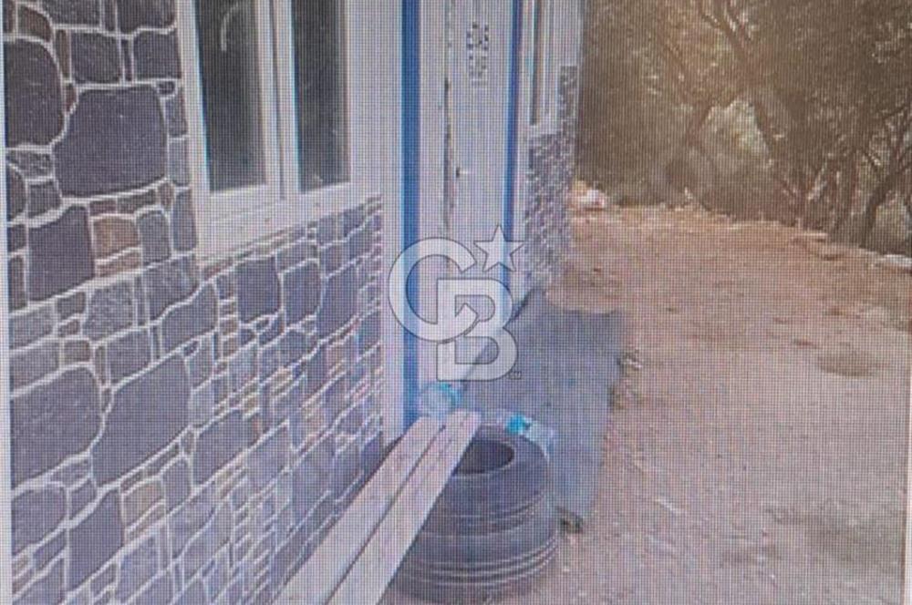 Bayındır Ergenli'de Yola Cepheli Satılık Zeytinlik