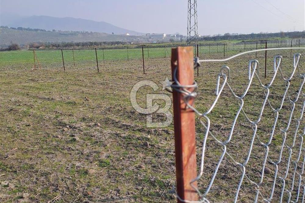 Aliağa Bozköy’de Hisse Tapulu Satılık Arazi