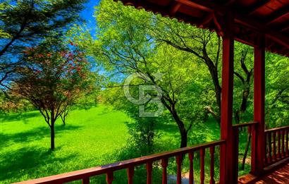 [CB SE7EN] B.ÇEKMECE KARAAĞAÇTA 1500 M² ARSA PAYLI 4+1 MÜSTAKİL VİLLA