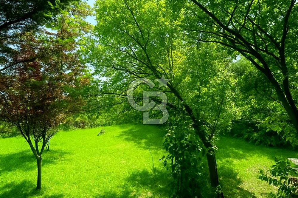 [CB SE7EN] B.ÇEKMECE KARAAĞAÇTA 1500 M² ARSA PAYLI 4+1 MÜSTAKİL VİLLA