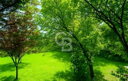 [CB SE7EN] B.ÇEKMECE KARAAĞAÇTA 1500 M² ARSA PAYLI 4+1 MÜSTAKİL VİLLA