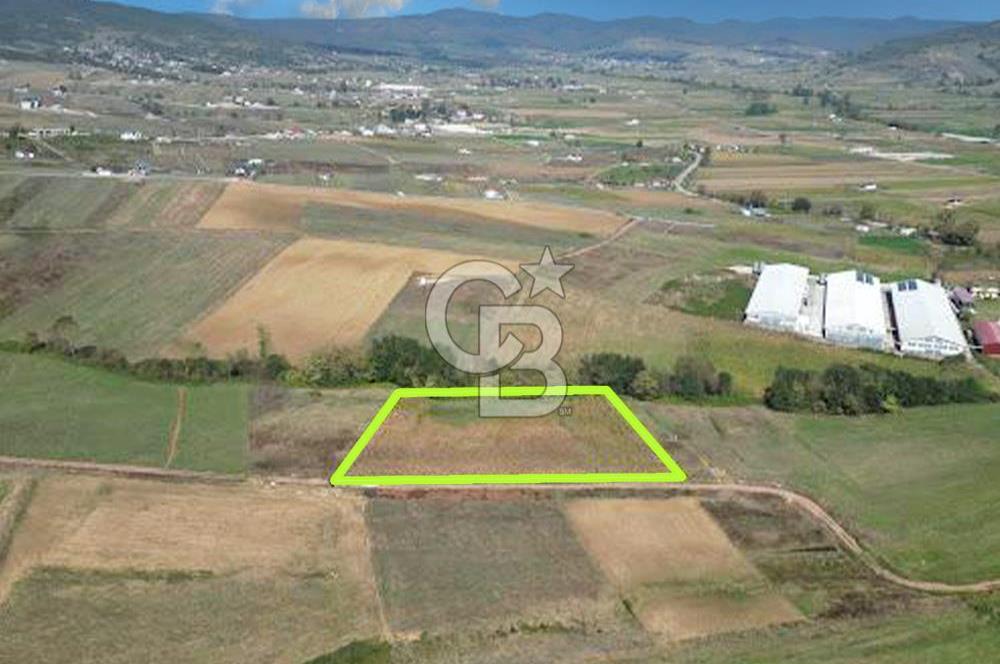 Kocaelide %5 İmarlı 5538 m² Yatırım Fırsatı Doğayla İç İçe