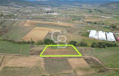 Kocaelide %5 İmarlı 5538 m² Yatırım Fırsatı Doğayla İç İçe