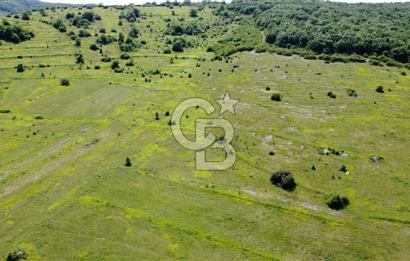 CB AKADEMİ KANDIRA GIDA OSBYE YAKIN SATILIK 3356 m2 SATILIK TARLA
