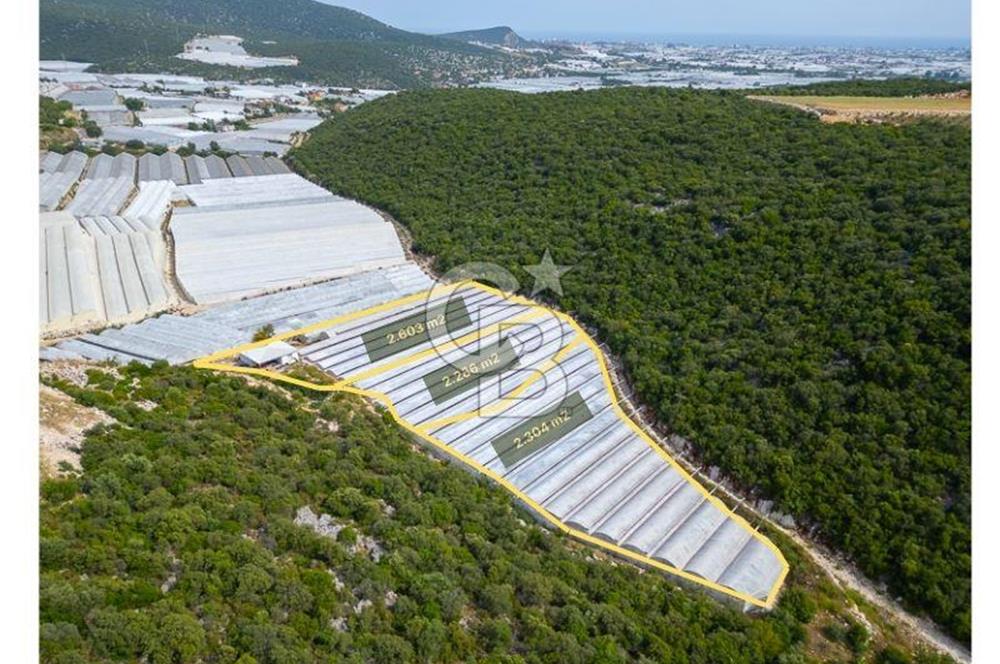 ANTALYA DEMRE KÖŞKERLERDE ÜRETİME HAZIR SATILIK SERA