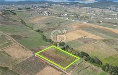 Kocaelide %5 İmarlı 5538 m² Yatırım Fırsatı Doğayla İç İçe