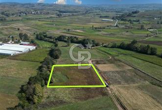 Kocaelide %5 İmarlı 5538 m² Yatırım Fırsatı Doğayla İç İçe