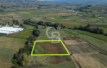 Kocaelide %5 İmarlı 5538 m² Yatırım Fırsatı Doğayla İç İçe