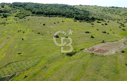 CB AKADEMİ KANDIRA GIDA OSBYE YAKIN SATILIK 3356 m2 SATILIK TARLA