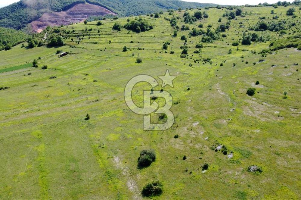 CB AKADEMİ KANDIRA GIDA OSBYE YAKIN SATILIK 3356 m2 SATILIK TARLA