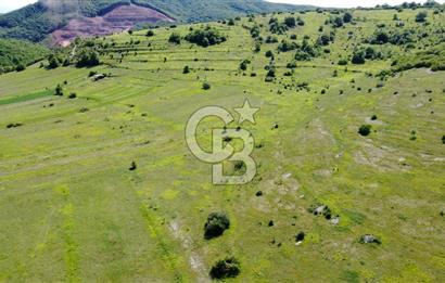 CB AKADEMİ KANDIRA GIDA OSBYE YAKIN SATILIK 3356 m2 SATILIK TARLA
