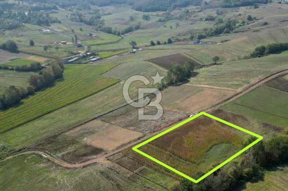 Kocaelide %5 İmarlı 5538 m² Yatırım Fırsatı Doğayla İç İçe