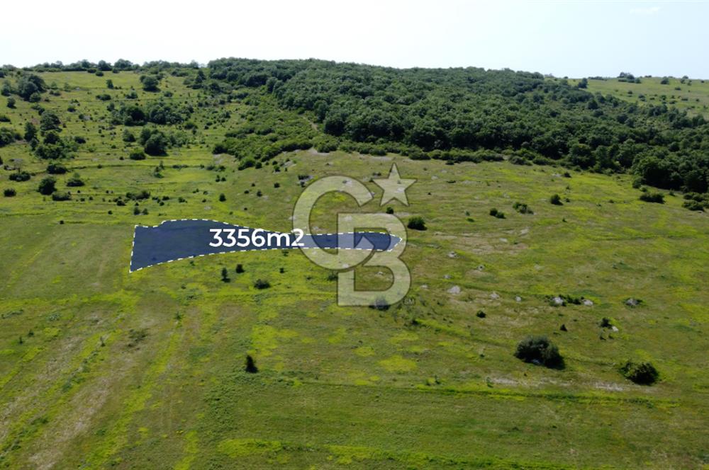 CB AKADEMİ KANDIRA GIDA OSBYE YAKIN SATILIK 3356 m2 SATILIK TARLA