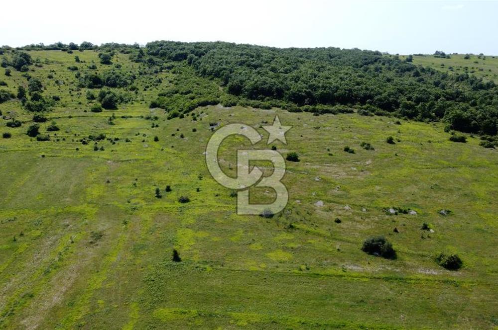 CB AKADEMİ KANDIRA GIDA OSBYE YAKIN SATILIK 3356 m2 SATILIK TARLA