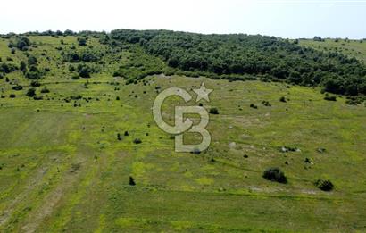 CB AKADEMİ KANDIRA GIDA OSBYE YAKIN SATILIK 3356 m2 SATILIK TARLA
