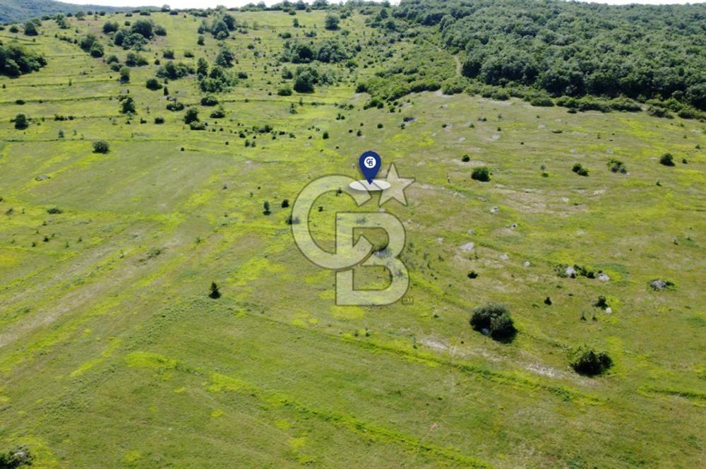 CB AKADEMİ KANDIRA GIDA OSBYE YAKIN SATILIK 3356 m2 SATILIK TARLA