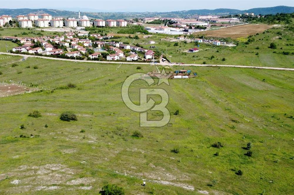 CB AKADEMİ KANDIRA GIDA OSBYE YAKIN SATILIK 3356 m2 SATILIK TARLA