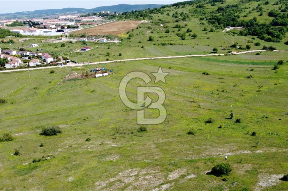 CB AKADEMİ KANDIRA GIDA OSBYE YAKIN SATILIK 3356 m2 SATILIK TARLA