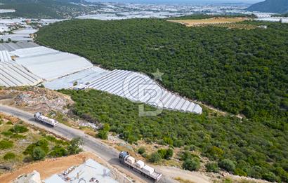 ANTALYA DEMRE KÖŞKERLERDE ÜRETİME HAZIR SATILIK SERA