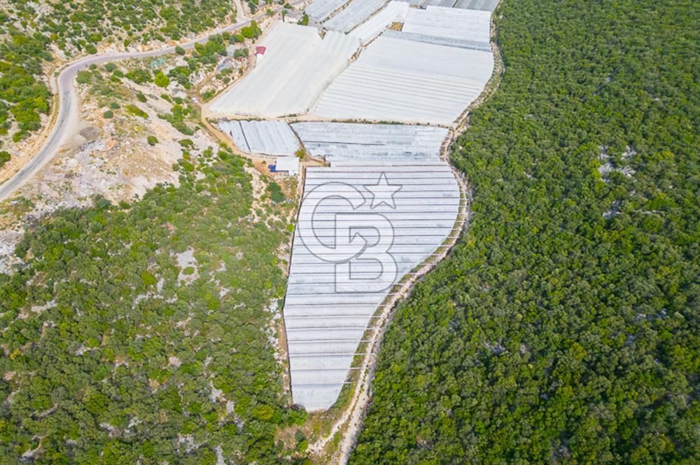 ANTALYA DEMRE KÖŞKERLERDE ÜRETİME HAZIR SATILIK SERA