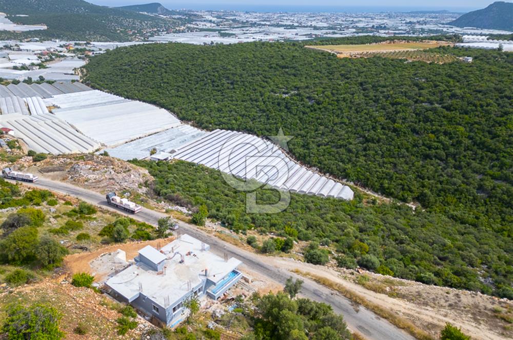 ANTALYA DEMRE KÖŞKERLERDE ÜRETİME HAZIR SATILIK SERA