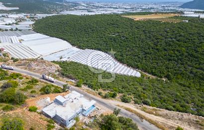 ANTALYA DEMRE KÖŞKERLERDE ÜRETİME HAZIR SATILIK SERA
