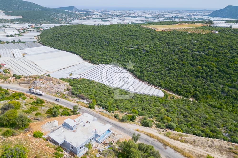 ANTALYA DEMRE KÖŞKERLERDE ÜRETİME HAZIR SATILIK SERA
