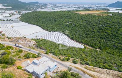 ANTALYA DEMRE KÖŞKERLERDE ÜRETİME HAZIR SATILIK SERA