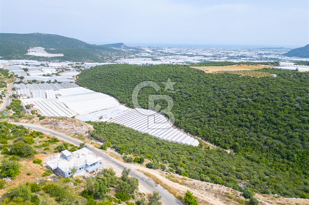 ANTALYA DEMRE KÖŞKERLERDE ÜRETİME HAZIR SATILIK SERA