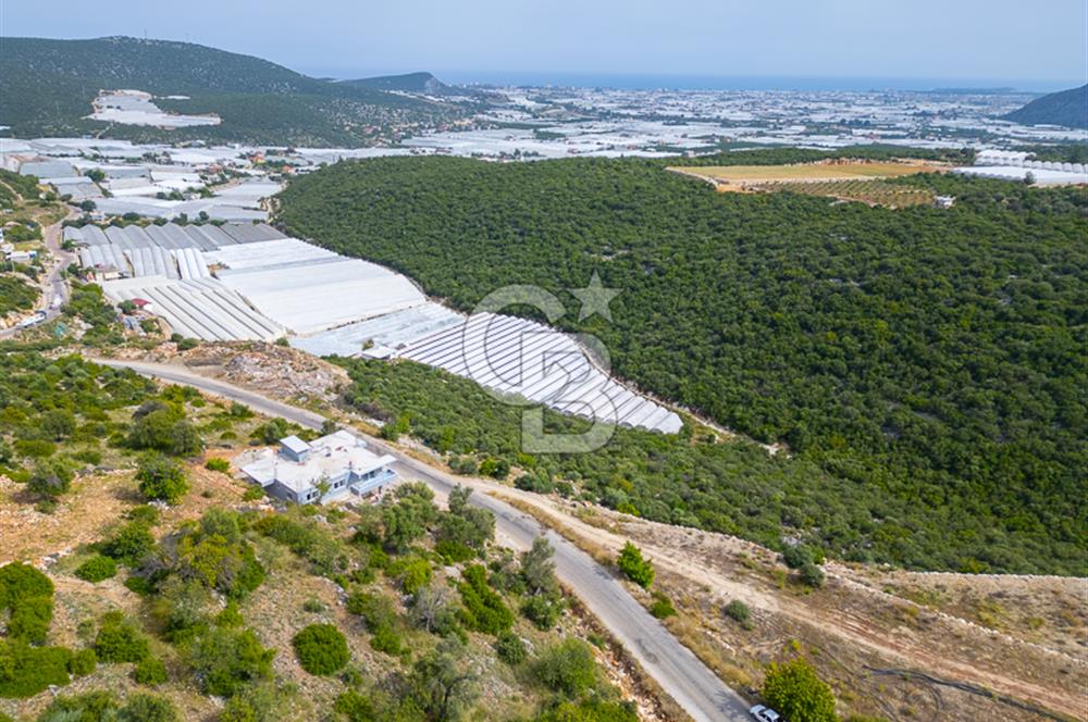 ANTALYA DEMRE KÖŞKERLERDE ÜRETİME HAZIR SATILIK SERA