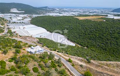 ANTALYA DEMRE KÖŞKERLERDE ÜRETİME HAZIR SATILIK SERA