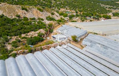 ANTALYA DEMRE KÖŞKERLERDE ÜRETİME HAZIR SATILIK SERA