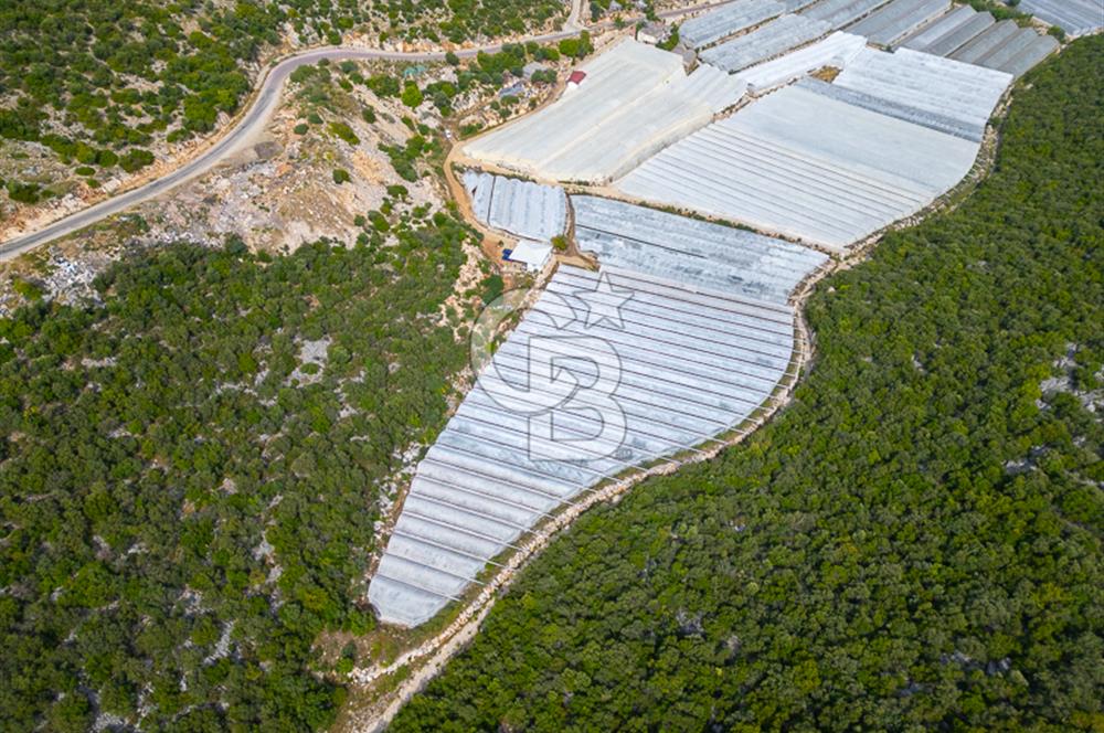 ANTALYA DEMRE KÖŞKERLERDE ÜRETİME HAZIR SATILIK SERA