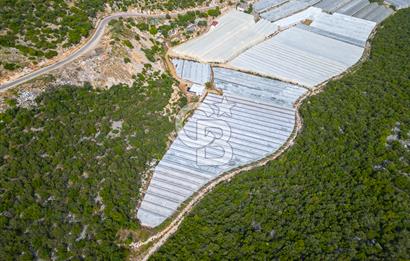 ANTALYA DEMRE KÖŞKERLERDE ÜRETİME HAZIR SATILIK SERA