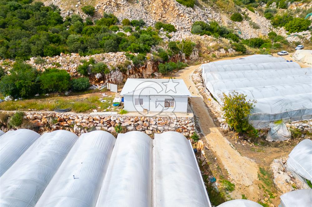 ANTALYA DEMRE KÖŞKERLERDE ÜRETİME HAZIR SATILIK SERA