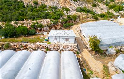 ANTALYA DEMRE KÖŞKERLERDE ÜRETİME HAZIR SATILIK SERA