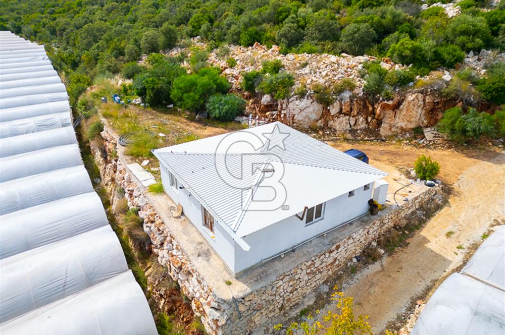 ANTALYA DEMRE KÖŞKERLERDE ÜRETİME HAZIR SATILIK SERA